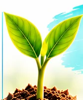 A green seedling sprouting from soil